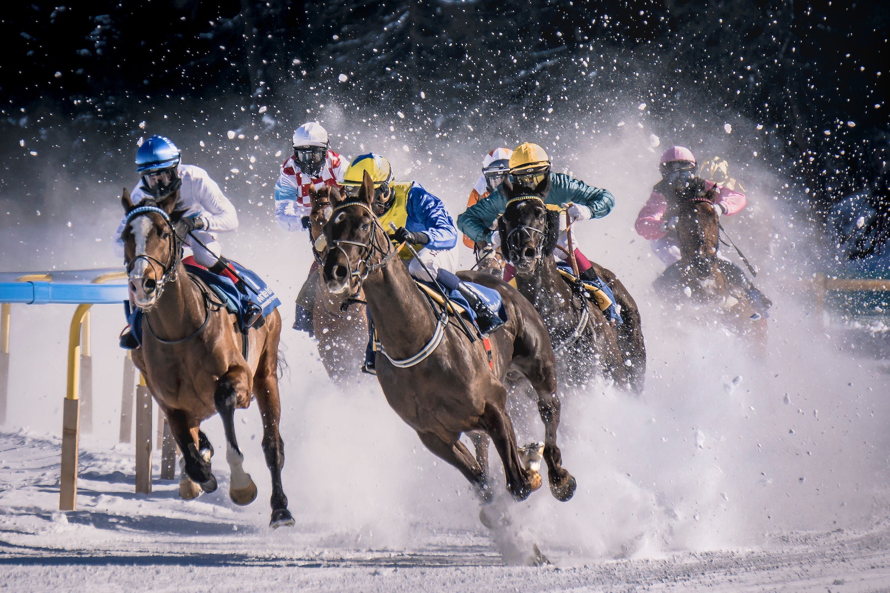 horse_racing